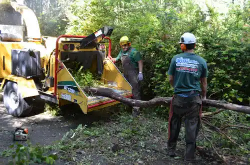 tree services Greenleaf